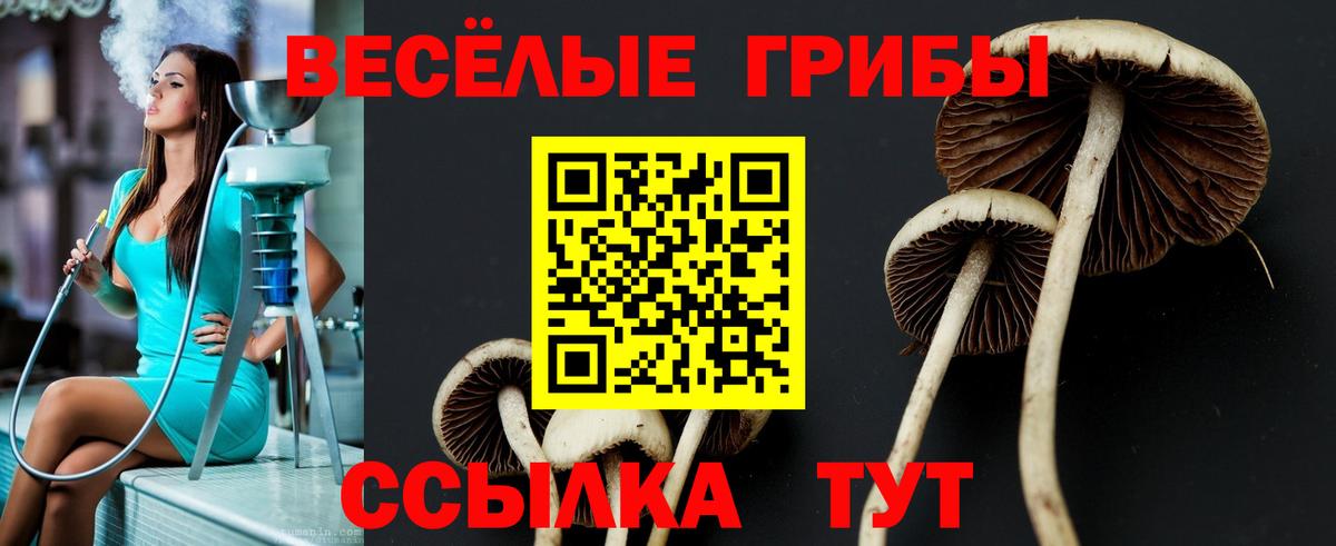 Псилоцибиновые грибы GOLDEN TEACHER Новомосковск